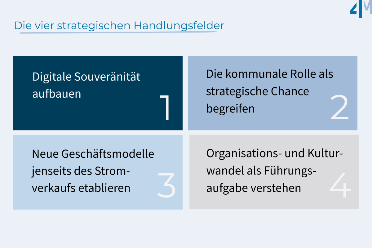4M-die vier strategischen Handlungsfelder
