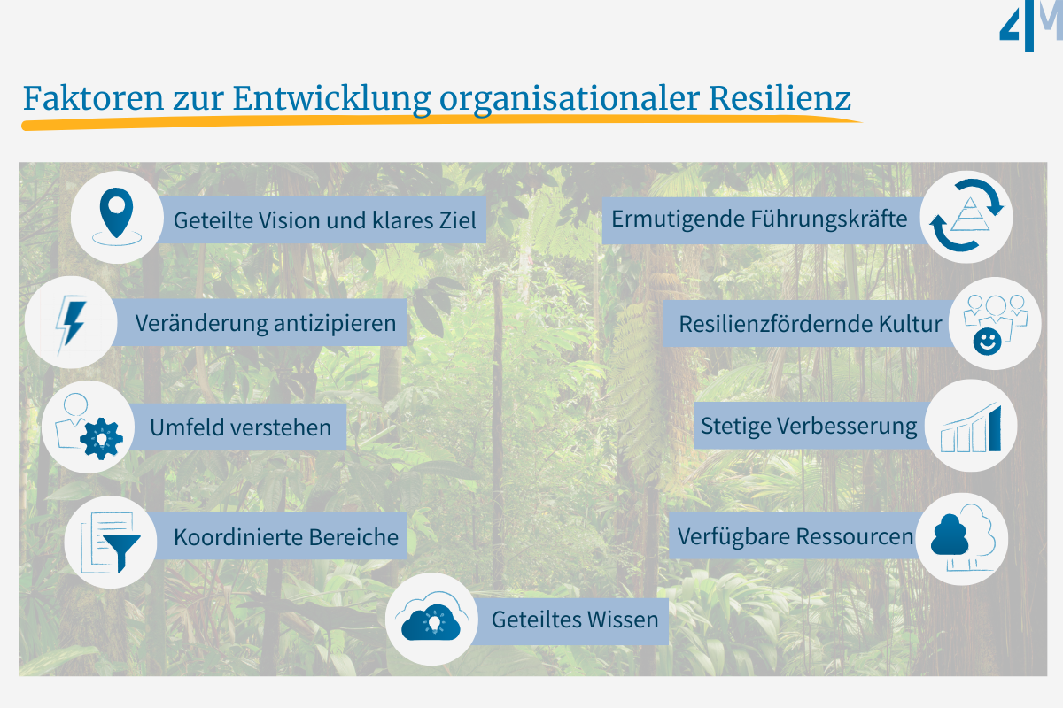 Faktoren zur Entwicklung organisationaler Resilienz