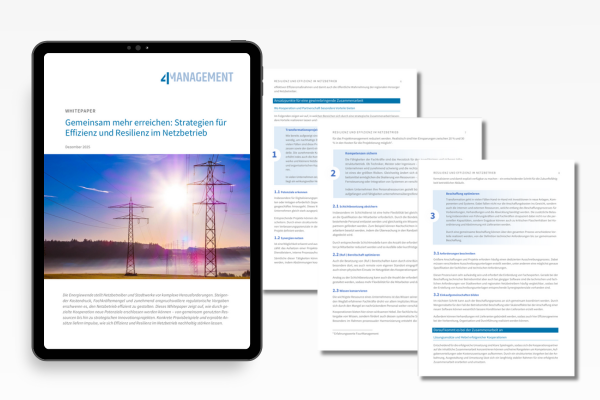 4M-Whitepaper-Energie (1)